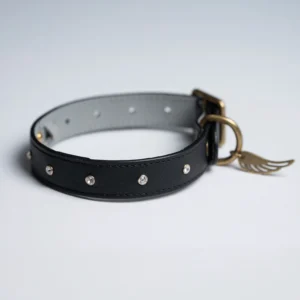 collare in pelle color nero