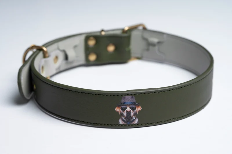 LabradorBlues Collar – Moss Green - Image 2